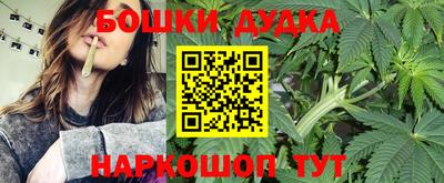 PSILOCYBIN Гусев