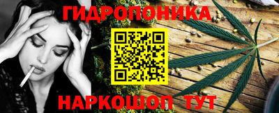 индика Гусиноозёрск