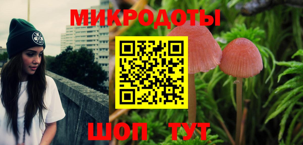 Псилоцибиновые грибы GOLDEN TEACHER  цены наркотик  Вход с VPN  Нижний Тагил  Галлюциногенные грибы MAGIC MUSHROOMS 